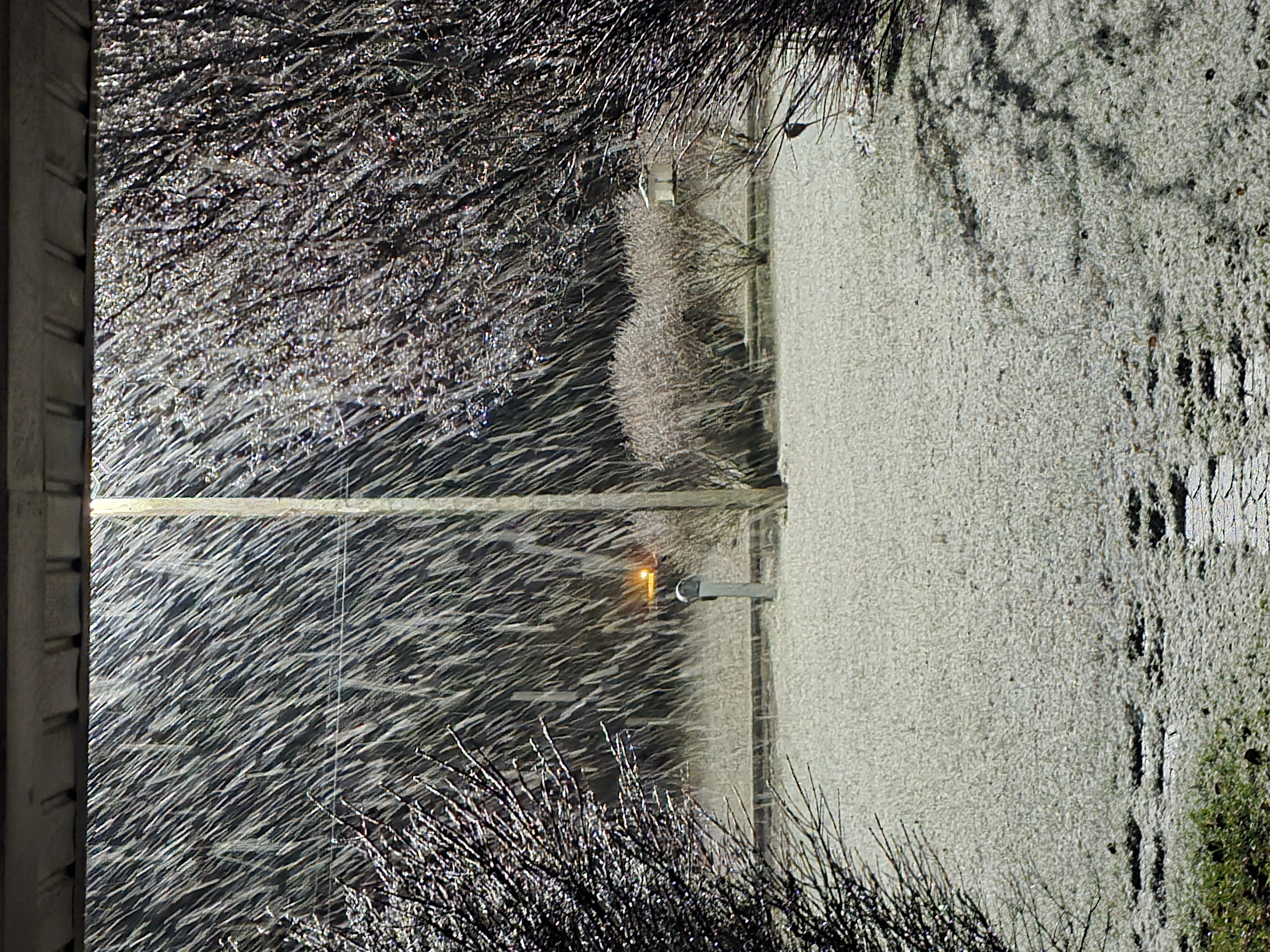 49DKHZa1iywM.jpg?o=1