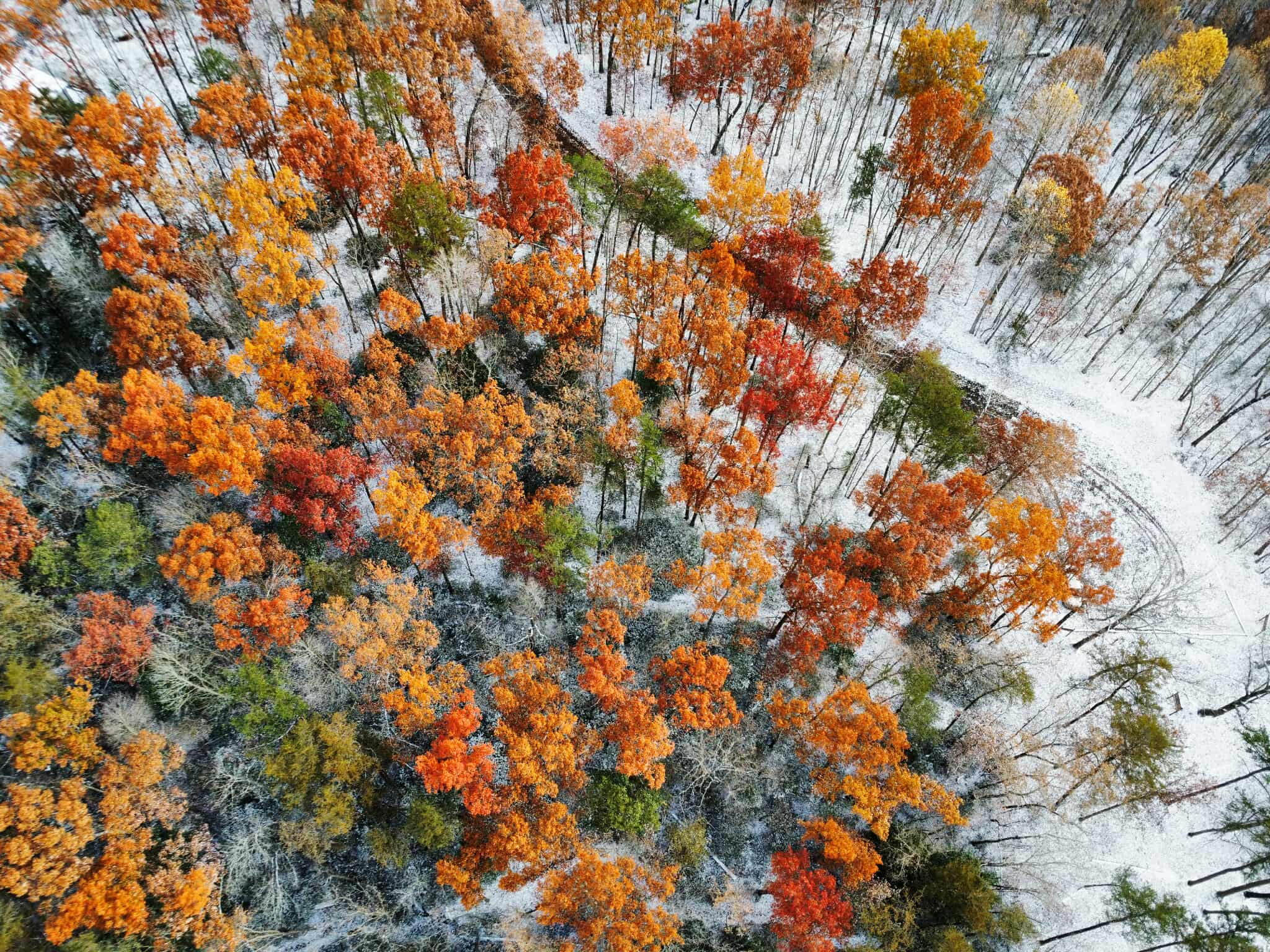 M4YlEH39U2Ah.png?o=1