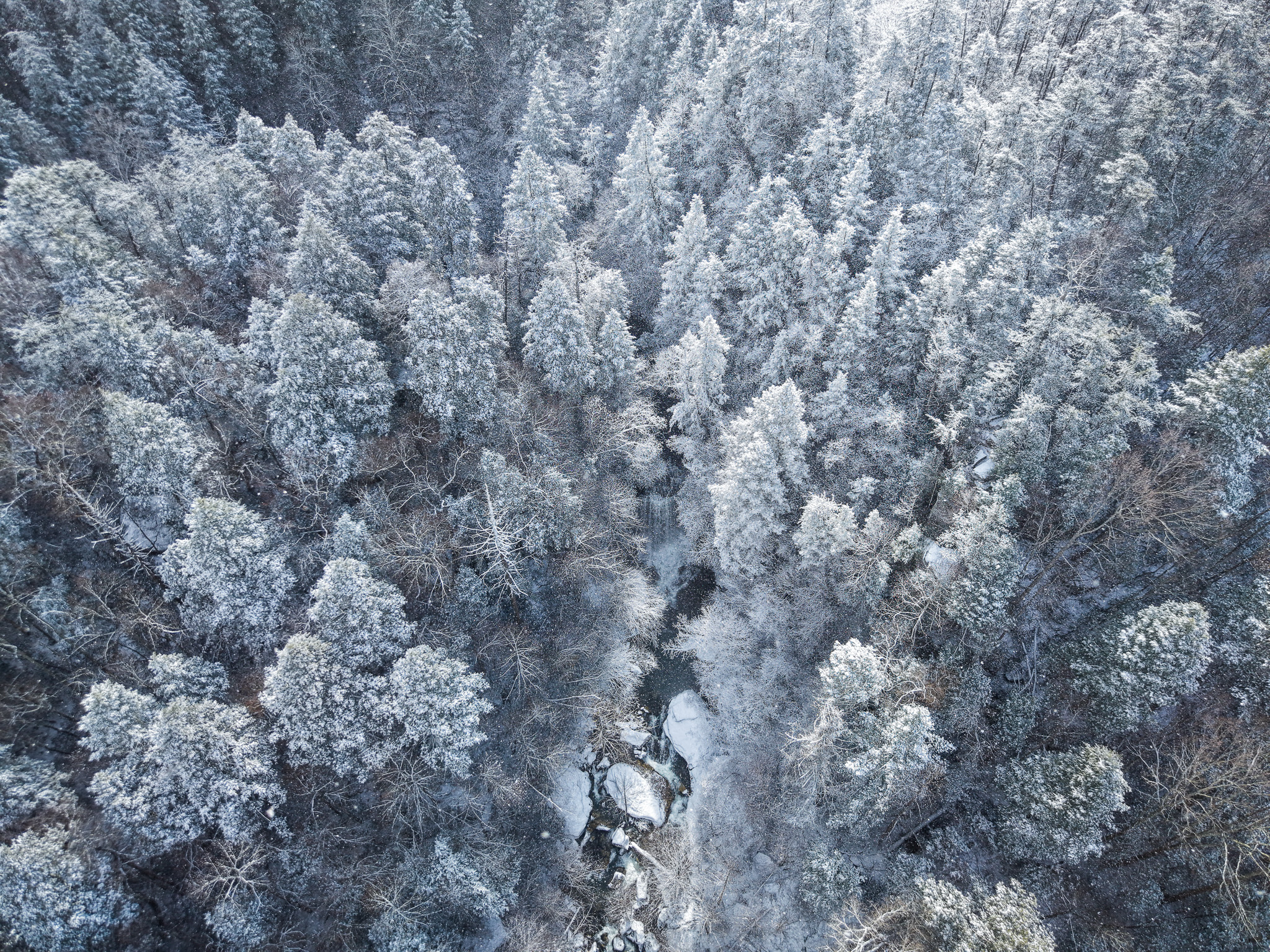 SIVKZzkhzpcX.jpg?o=1