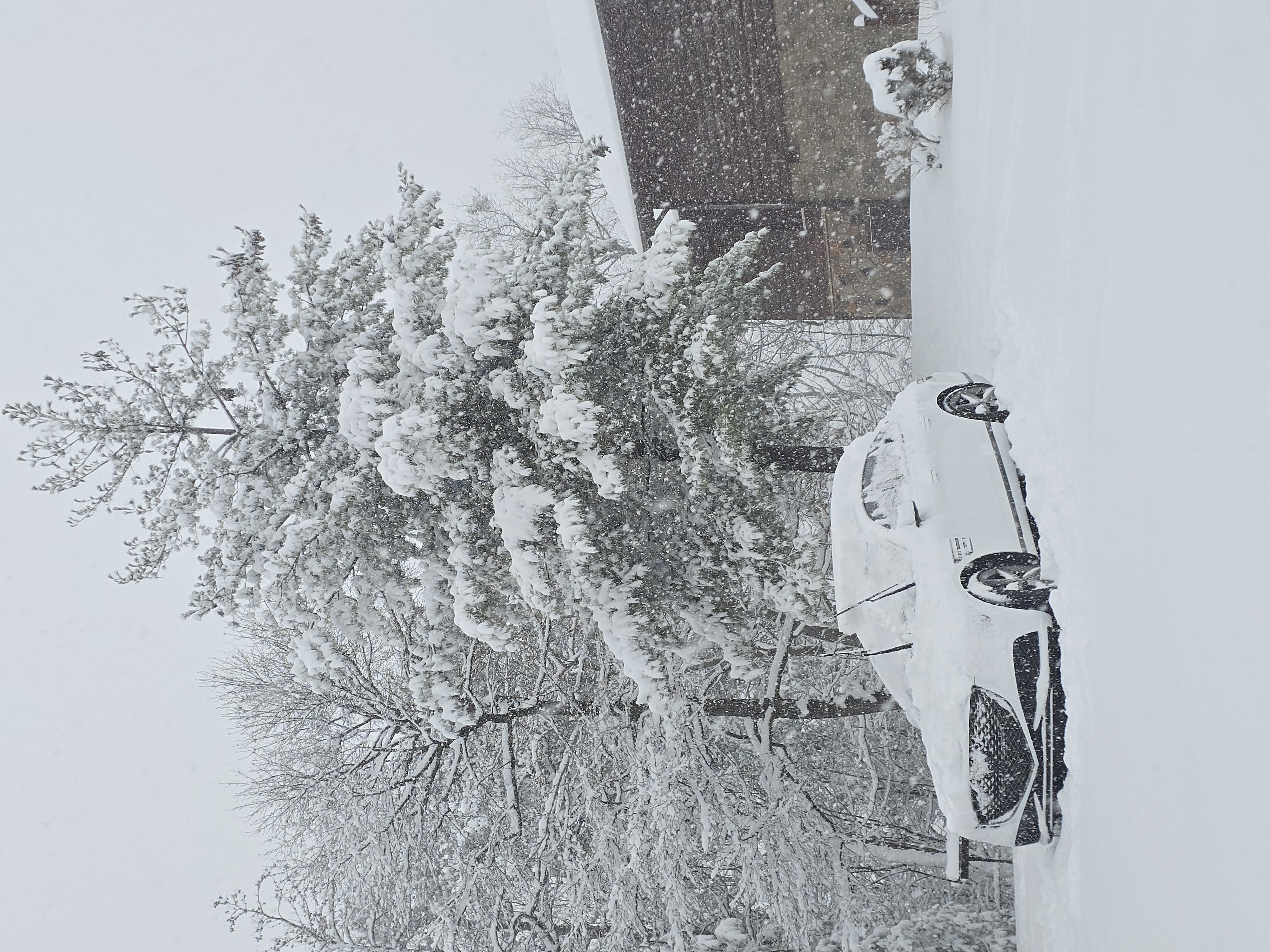 UoDtDREuGy1Y.jpg?o=1