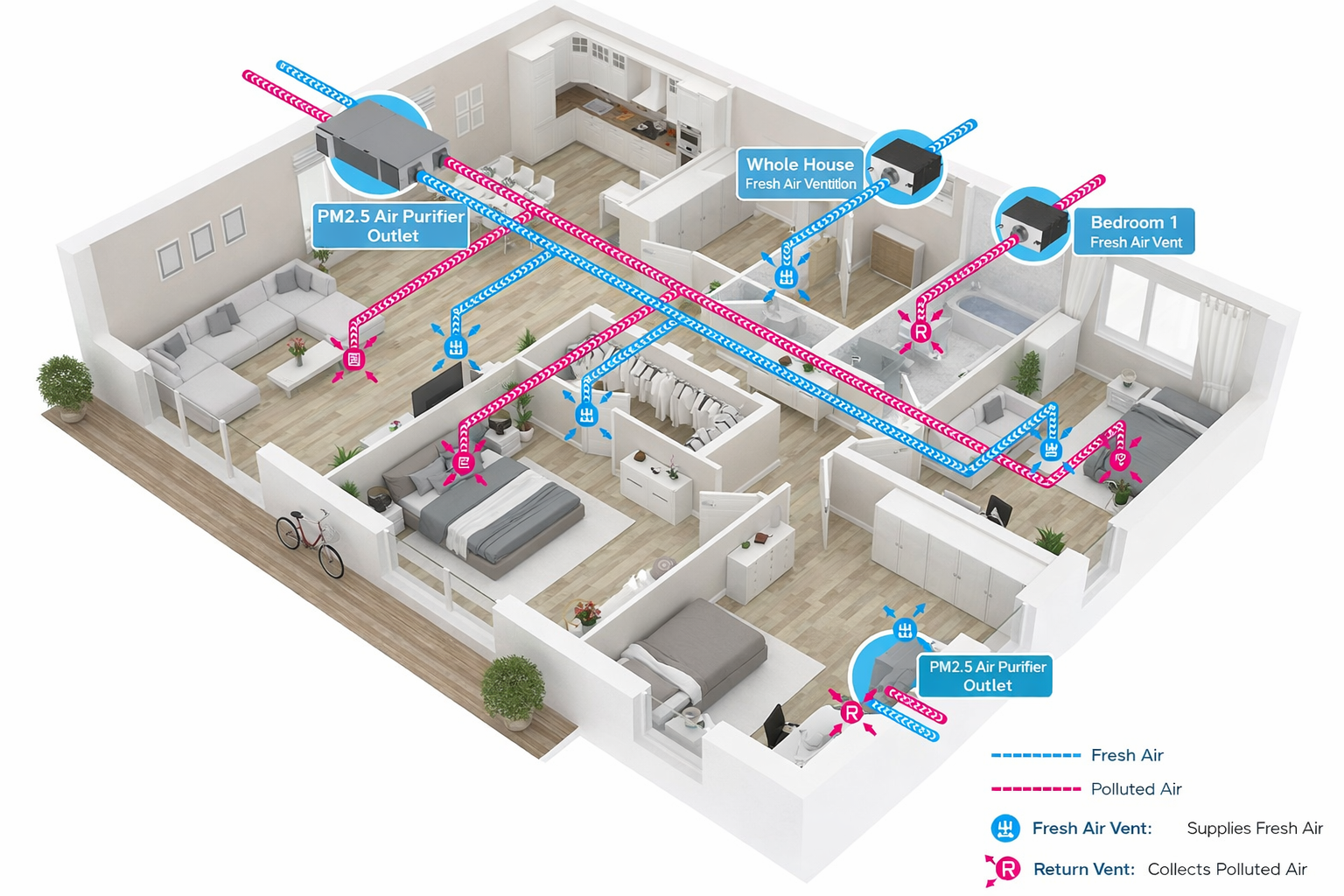 Medical Lung Diagram