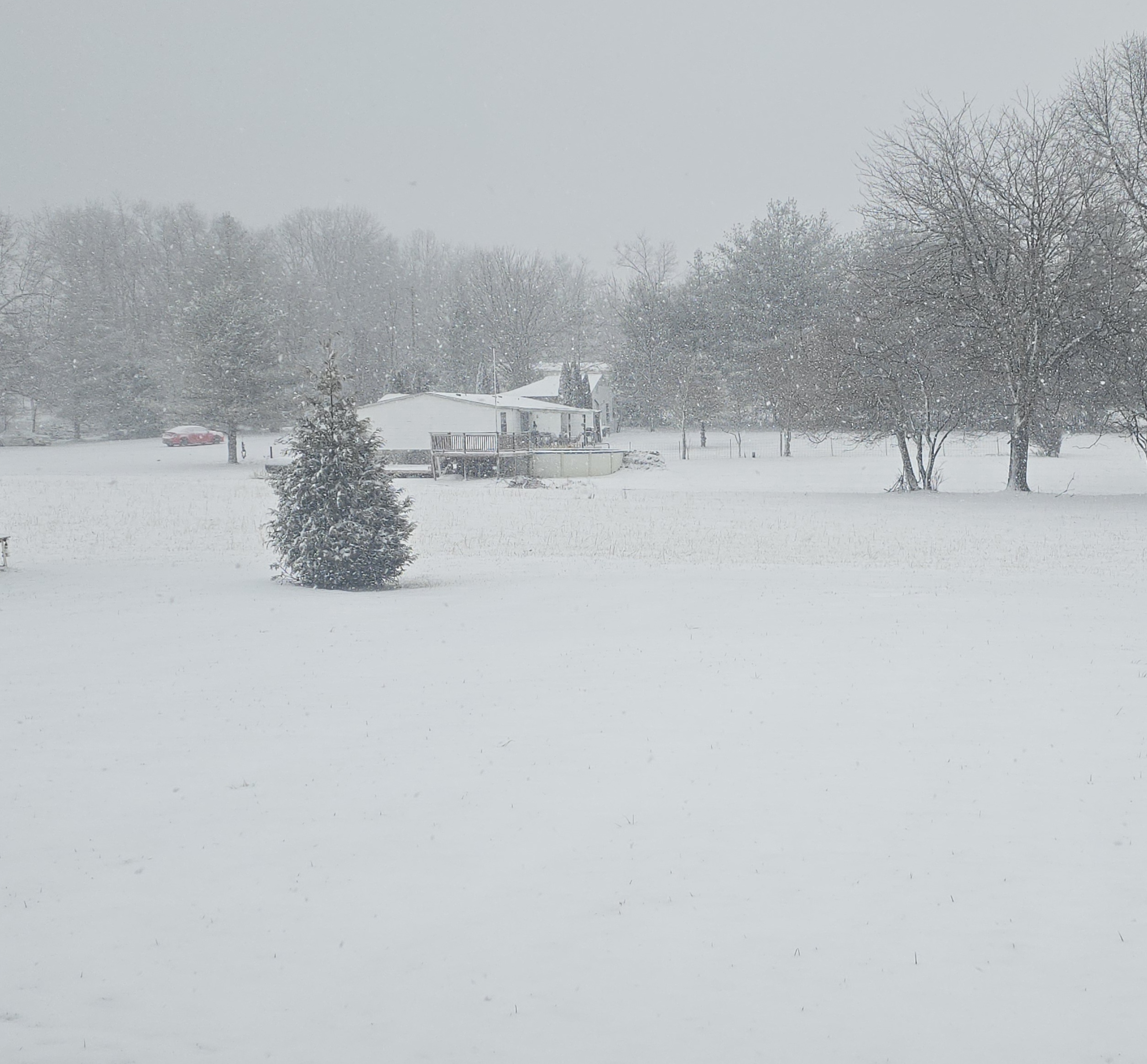 alHoyNO24SZp.jpg?o=1