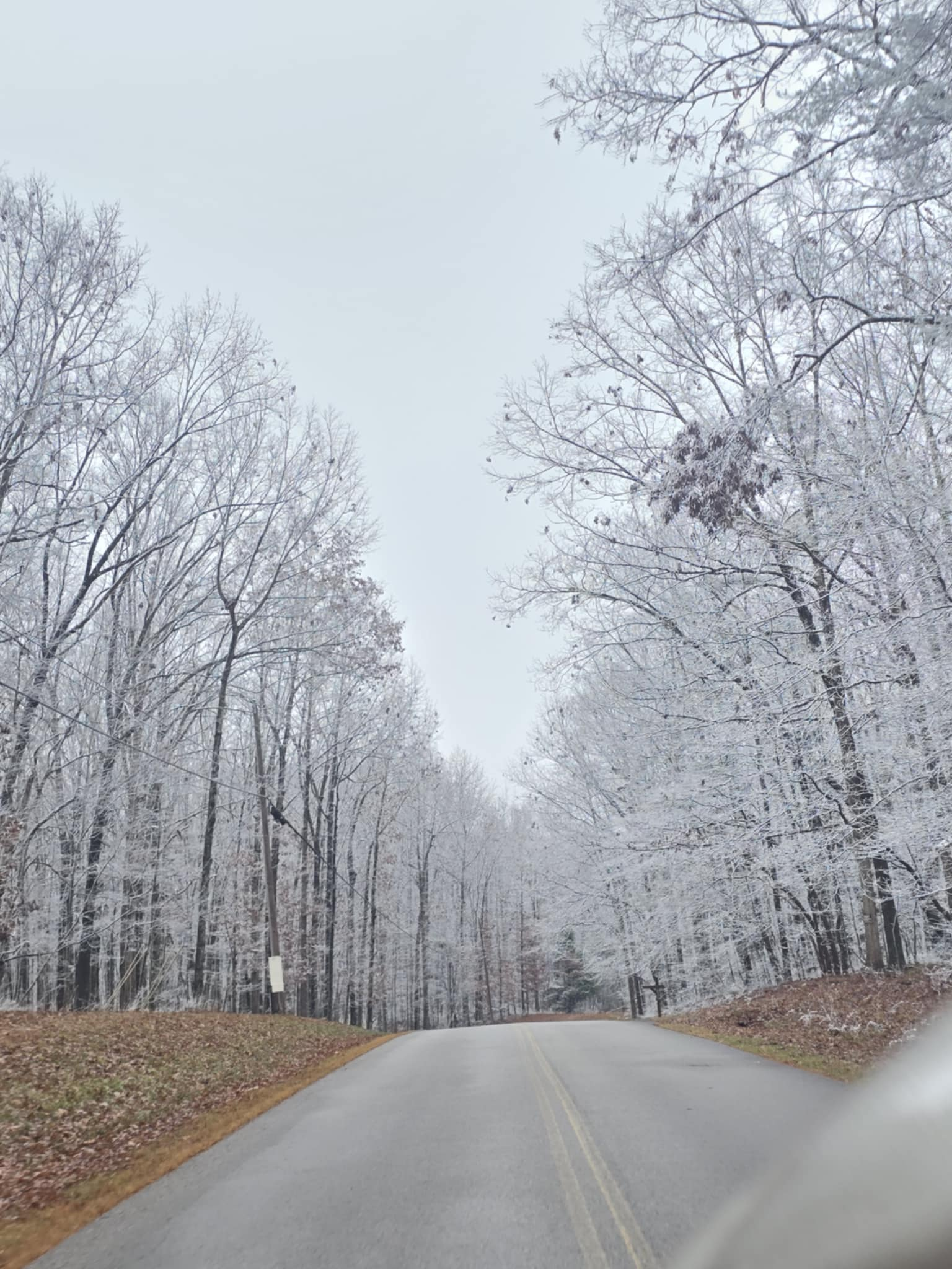 dmEPwwcmjHF9.png?o=1