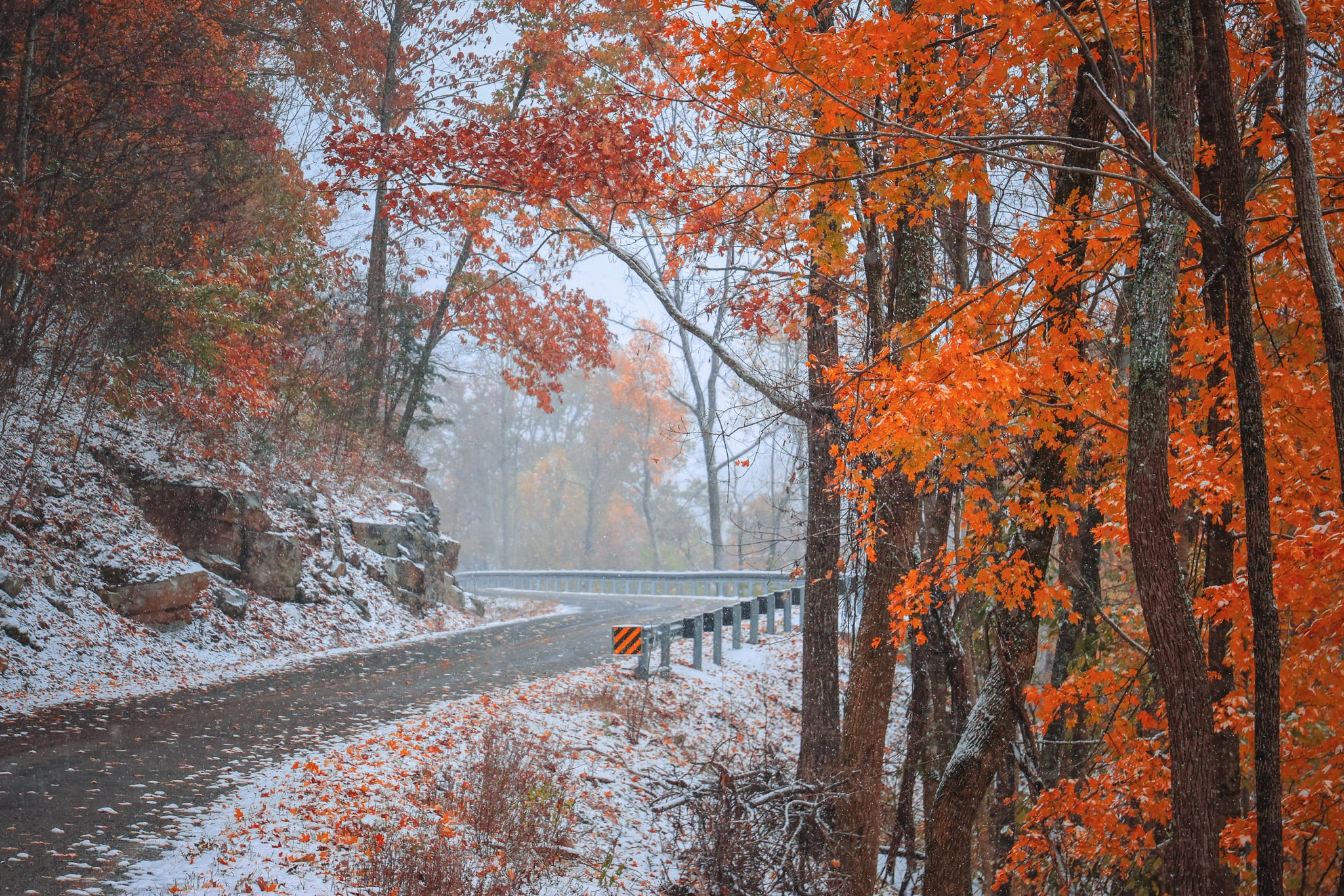 jOrvYBf2gAxE.png?o=1