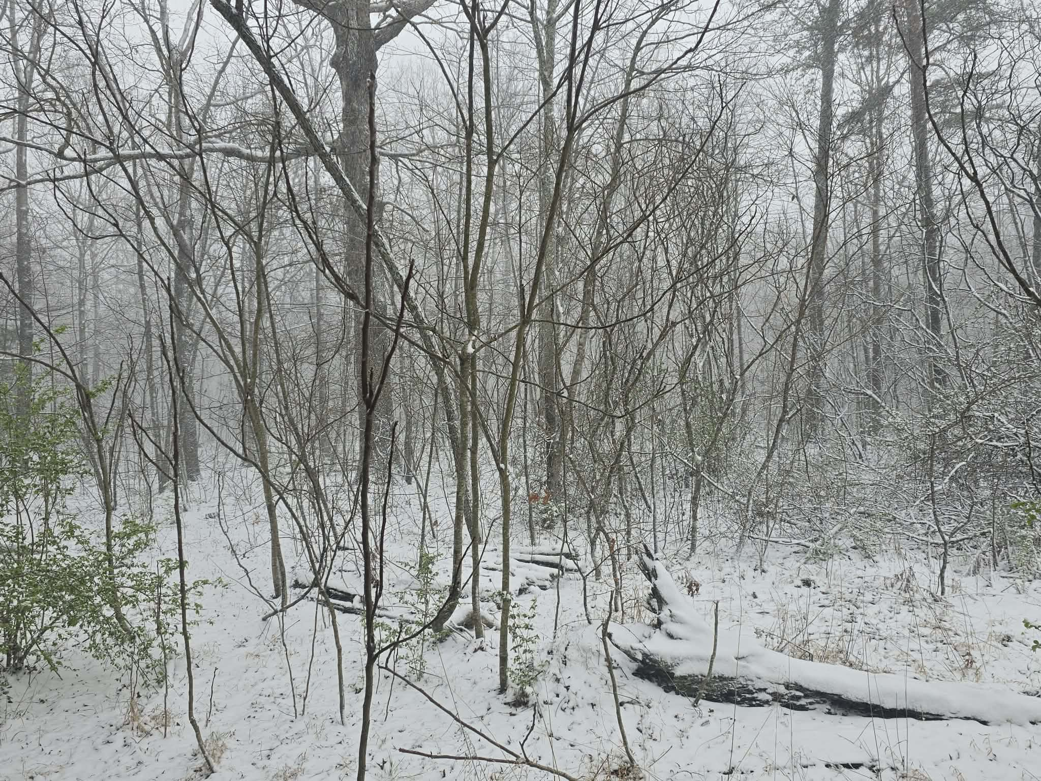 r3nxrJkQzVjo.png?o=1