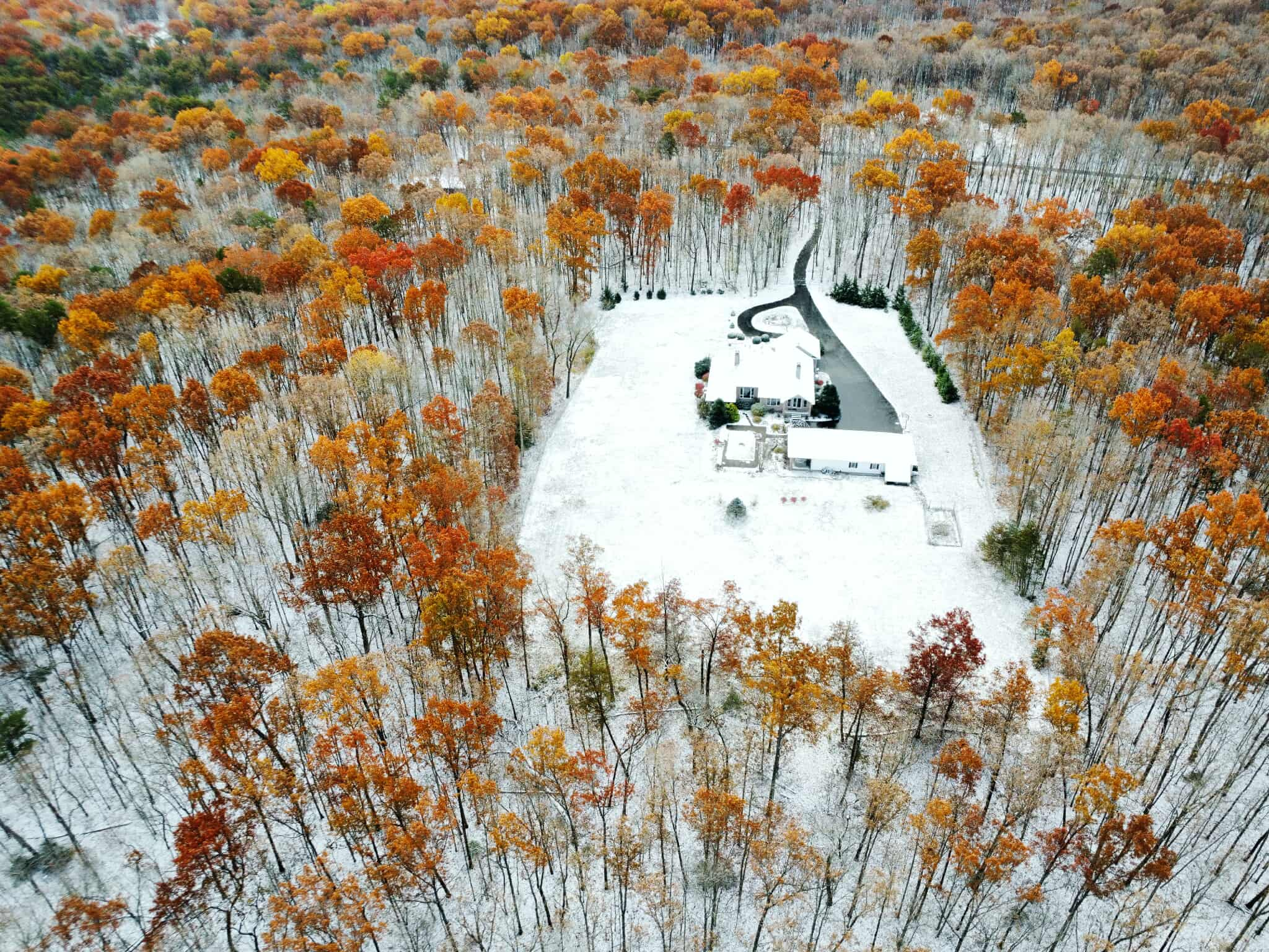 u0lJvll9qgTB.png?o=1