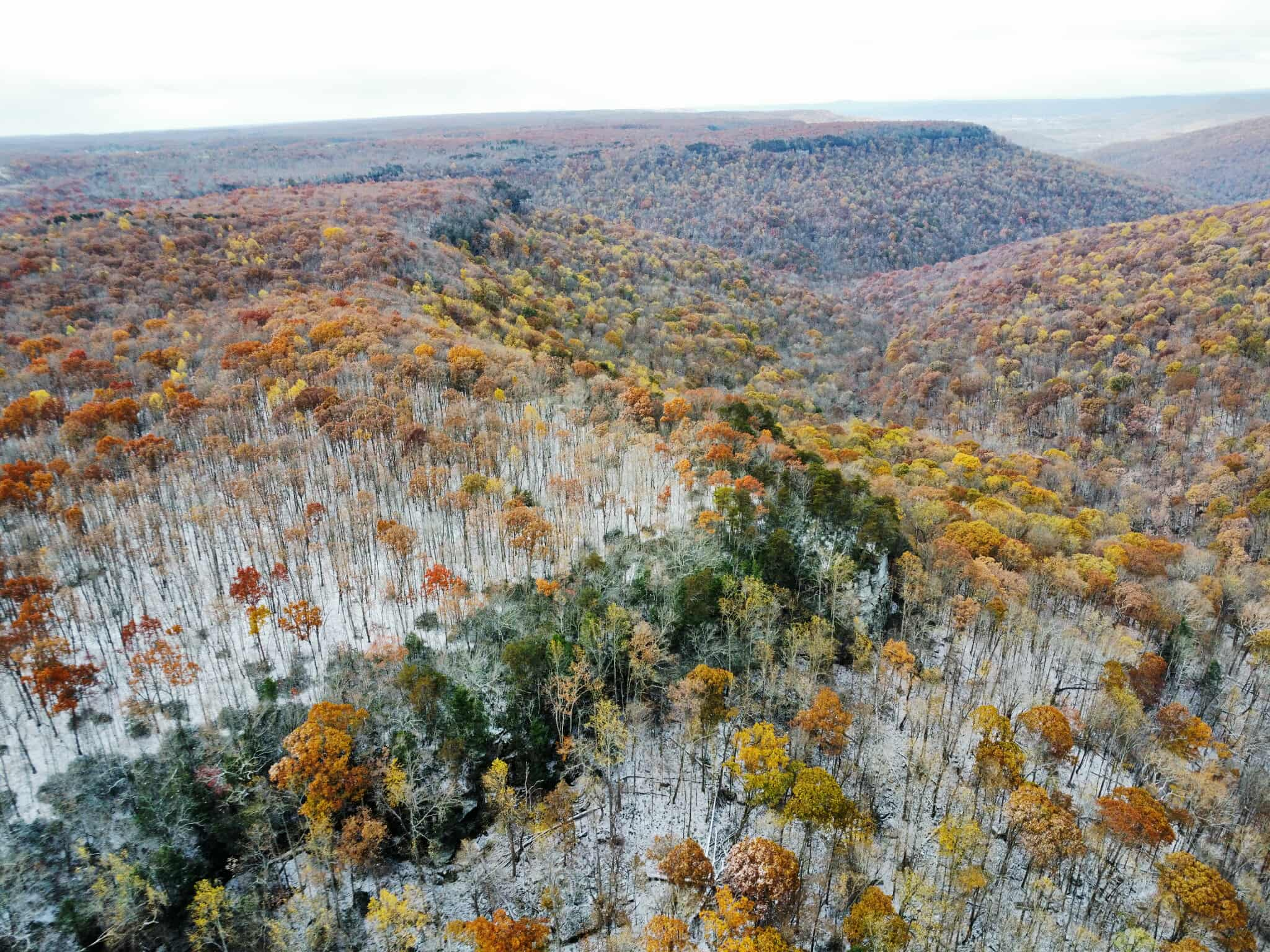 wdBhIINV61Hh.png?o=1