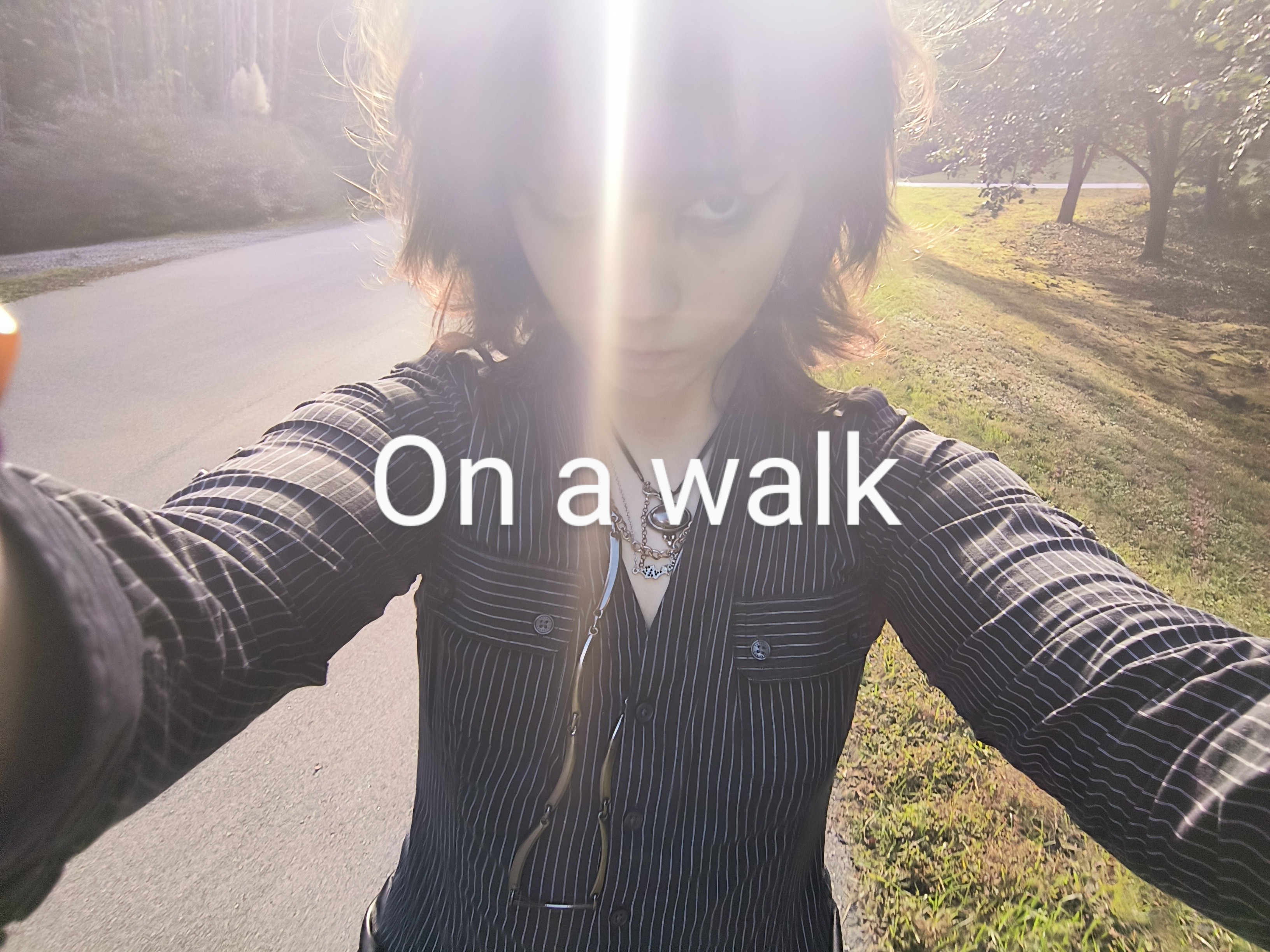 uploaded image