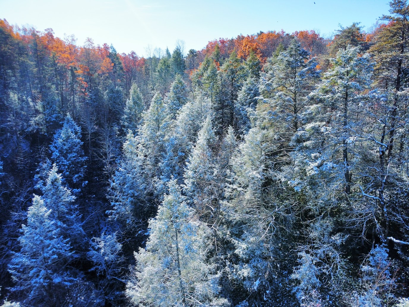 yXD7FGeE5vPC.png?o=1